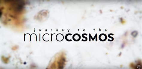 Journey to the Microcosmos: A Deep Dive into the Microscopic World!